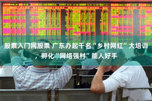 股票入门网股票 广东办起千名“乡村网红”大培训，孵化“网络强村”能人好手