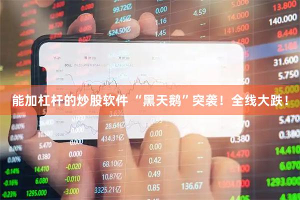 能加杠杆的炒股软件 “黑天鹅”突袭！全线大跌！