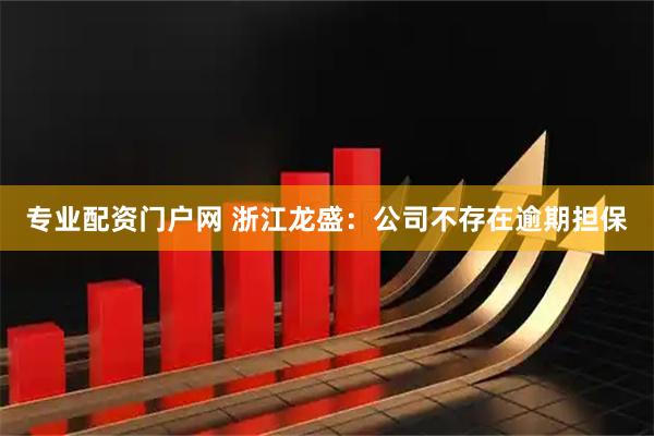 专业配资门户网 浙江龙盛：公司不存在逾期担保